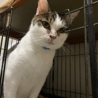 bboyisao's profile picture. 