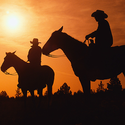 mimurahaihai's profile picture. 大卒（１年間米国留学）→外資系システムアナリスト（ITゼネコンに幻滅して退社)→派遣プログラマー（契約外の仕事を拒否して干される）→無職（世界放浪）→貿易会社で農林水産物、加工食品の輸出入業　　激しく変化する時代の生き方を試行錯誤中。