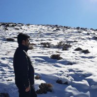 Sajad (@sajad_2316) 's Twitter Profile