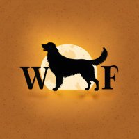 Woof Wonder World(@WoofWonderWorld) 's Twitter Profile Photo