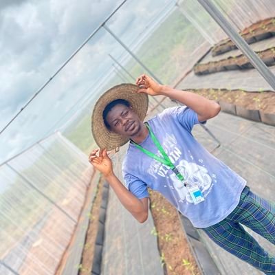 kingsamskid23's profile picture. Graduate of Agricultural Extension and Communication ||  Organic Farmer || Agriculturist || Agribusiness Specialist || Happy Learner || let's Connect.