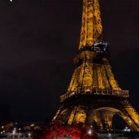 asmahshah (@asmahshah007) 's Twitter Profile