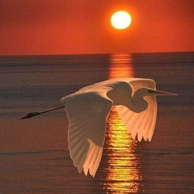 آپکی زندگی دنیا کےلئے ایک پیغام ہے، کوشش کیجیئےکہ یہ پیغام متاثر کن ہو۔۔۔۔