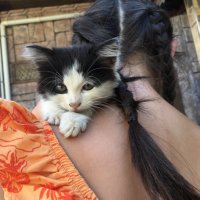 Gizem Özipek (@gizem0ozipek) 's Twitter Profile