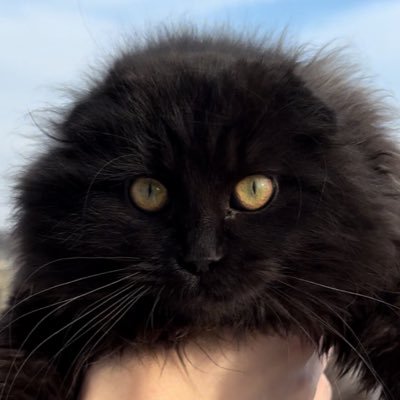 aadeqquate's profile picture.