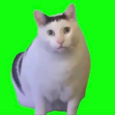 syoxizu's profile picture.