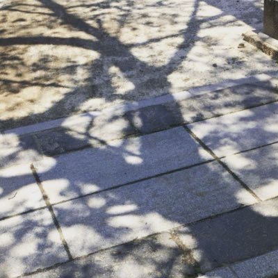 fuu_ll's profile picture. 都会に近い田園に暮らしてます