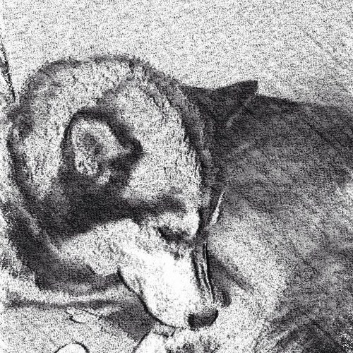 jessmoss53's profile picture. 