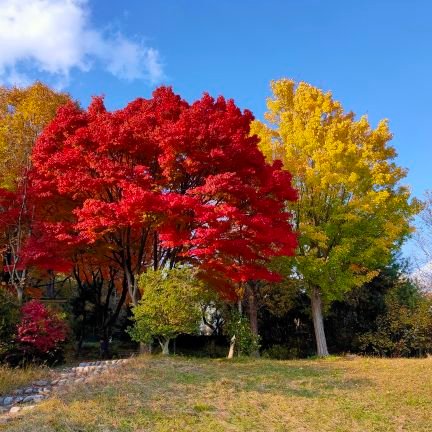 zukunashiiiiiii's profile picture. アイデンティティの喪失。