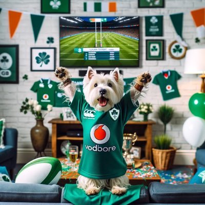 Hey, I’m Albert, Dublins most mischievous Westie ☘️ I’m a full time troublemaker keeping my humans on their toes one bark at a time 🐕 #dublindoggo  #westielife