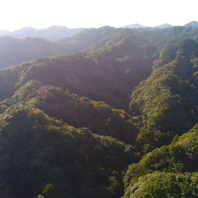 鴨川市の宝である山や川や海そして里の暮らしを守る会🌳メガソーラー計画断固反対‼️https://t.co/lLFvd5T0G9 ✉️kamogawa.mamoru@gmail.com ネット署名のご協力に感謝🙇🏼♂️🙇♀️https://t.co/ovqjhiEGCZ