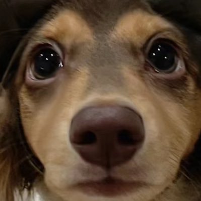 rex778CCC's profile picture. 