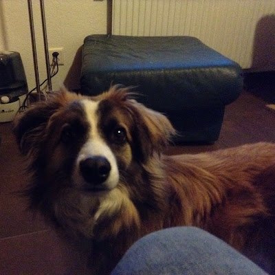 Larsli751542's profile picture. 