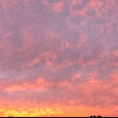 redbean0617's profile picture. ボカロ封印してたけどAdoさんのおかげで再び聴けるようになりました。基地会員。無言フォローすいません。イラスト・風景写真・廃墟好き。専用垢ではないのでいろんな事呟きます。不快な方ははずして下さい。ミニチュアダックス大好きです。我が家に5歳のブラックタン女の子います