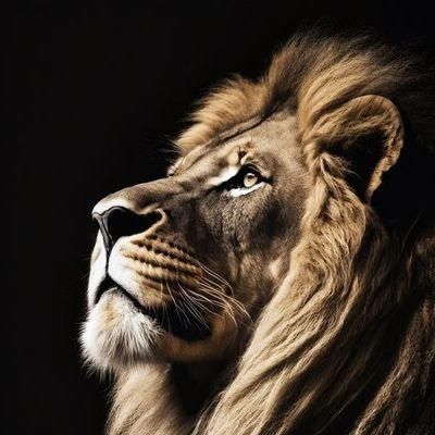 aliabbas247's profile picture. Love PMLN