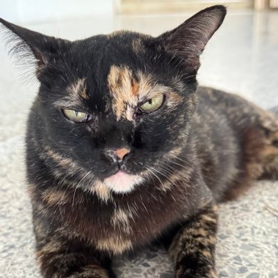 Mumujaomonn's profile picture. 