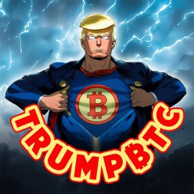 President Trump will win 2024 election and bring bull run for BTC!