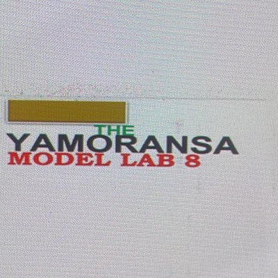 YM LAB 8, BUILDING FUTURE PROGRAMMERS AND ENGINEERS