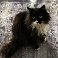 RVG xuex (@xuexza) 's Twitter Profile