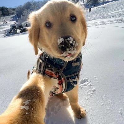 NayCarmelo378's profile picture. ？？？？