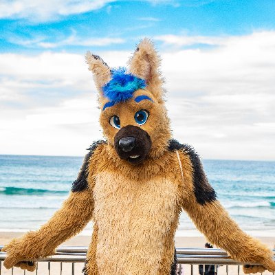 Aussie G-Shep 🇭🇲. Fitness 🏋️, Photography 📷, Fursuiting 🐶