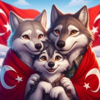 🇹🇷 Burak_El_Turco💛💙 (@fbgreywolf) Twitter profile photo