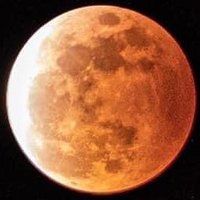 ShadowMars@ENFP (@shadowmars8) 's Twitter Profile