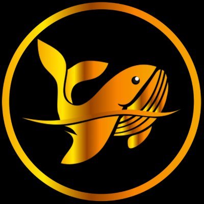 @MrBabyWhale