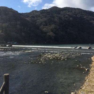 yuyujpjp88's profile picture. ラインレインどん