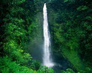 Dopenuts1's profile picture. Down to earth cz  u know..gravity,humorous#TeamMufc#Teamlife#Truthseeker!.If i could sum up me in 140 characters I must be reaally boring !