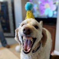 _Dubble_A (@_dubble_a) 's Twitter Profile