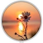 defence901's profile picture. 