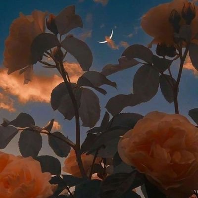 iiiiiiiiisssi's profile picture. 