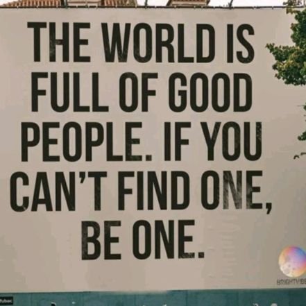 mihai_druta_web's profile picture. I ♥ living in  NY