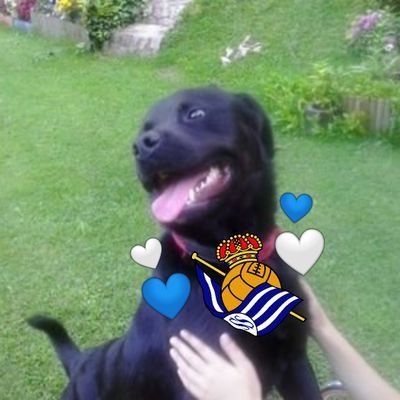 Intento de biotecnólogo. Tuitero a tiempo parcial e idiota a tiempo completo. De la Real Sociedad desde shiquetito💙🤍. Soldado de Arkaitz y de Padrefusa Kubo🫡