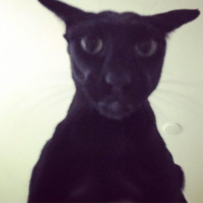 JQさんのプロフィール画像