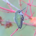 Chynna Moore - @ChynnaMoore - Twitter