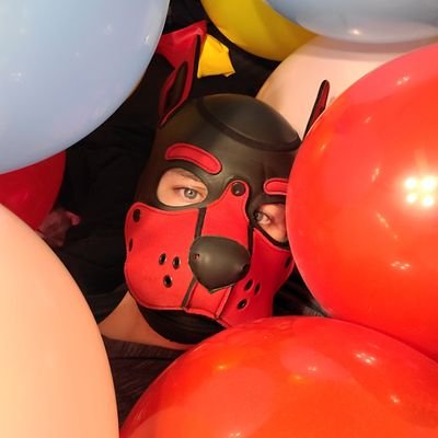 Gay awoo. 34+. Semi-popper-ish? Switch. SoCal. Good with bones, loves bears. DMs open, no RP. Always takes unwanted balloons, and pays for them. Gib