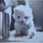 koryoon88's profile image