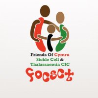Friends of Cymru Sickle Cell and Thalassaemia (@focsctcymru) 's Twitter Profile