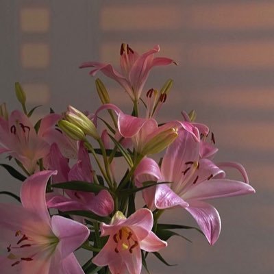 delulum1nds's profile picture. 