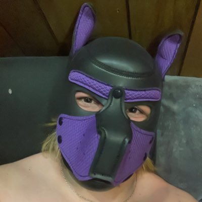 Hey im Pup Token, just your average kink loving gay. 18+.