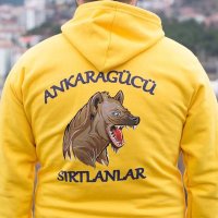 benekli sırtlan07 (@estwdy0066) Twitter profile photo