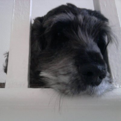 Brenda20538246's profile picture. 