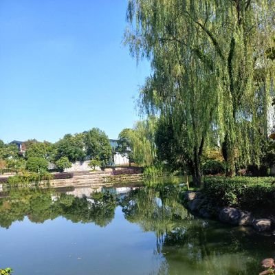 chideraIheke's profile picture. Woman. Dreamer. Writer.