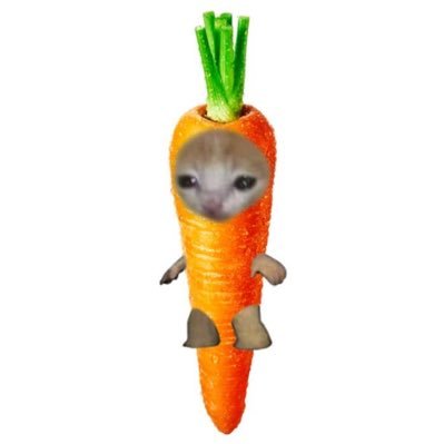 agingercarrot's profile picture. 