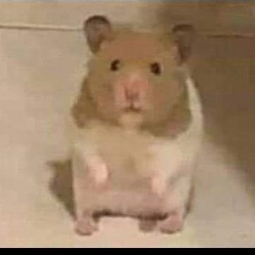 AclopherLop2's profile picture. 