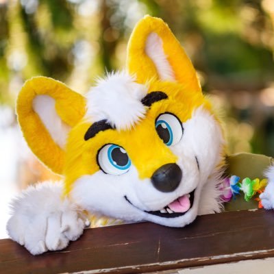 it’s the one and only yellow arctic wolf 🌕❄️🐺 ~ always looking for his next adventure 🧭🏞️ ~ @LorfyTheFox suit ~ he/him