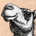 Camelo (@josecfreittas) Twitter profile photo Camelo (@josecfreittas) Twitter profile photo