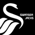 Swansea Jacks 🦢 (@JacksSwansea) Twitter profile photo